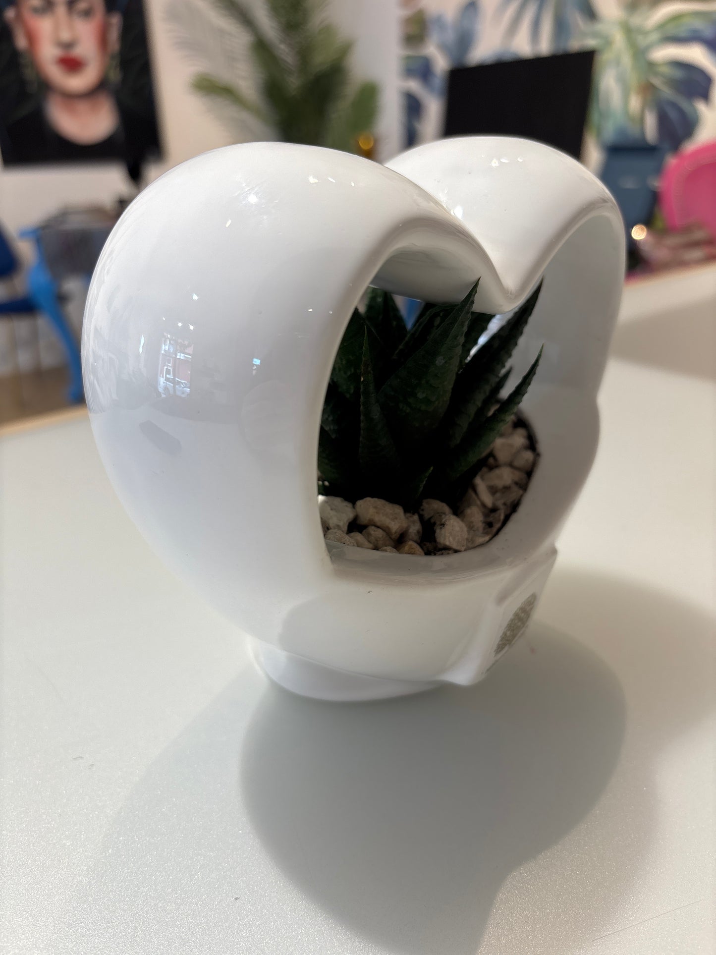 Pianta cuore design