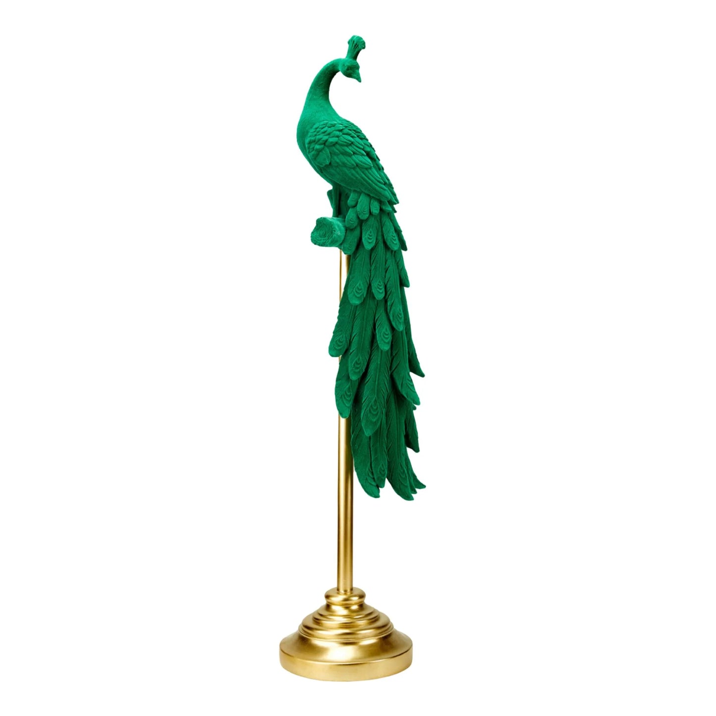 - Statua Pavone in Velluto Fade -